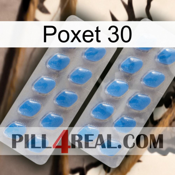 Poxet 30 23.jpg